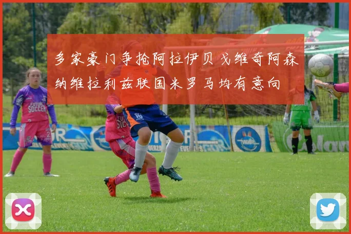 多家豪门争抢阿拉伊贝戈维奇阿森纳维拉利兹联国米罗马均有意向